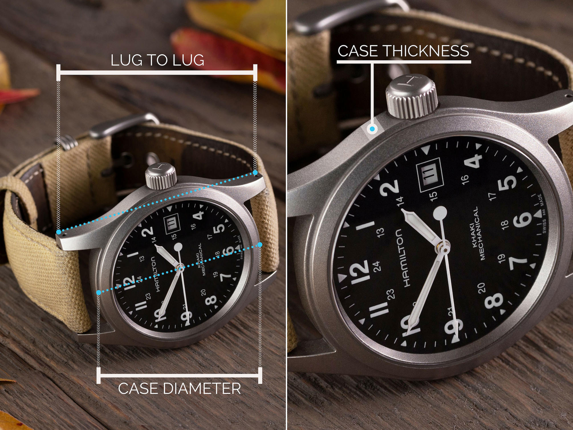 Watch size graphic detailing lug to lug, case diameter, and case thickness measurement points.