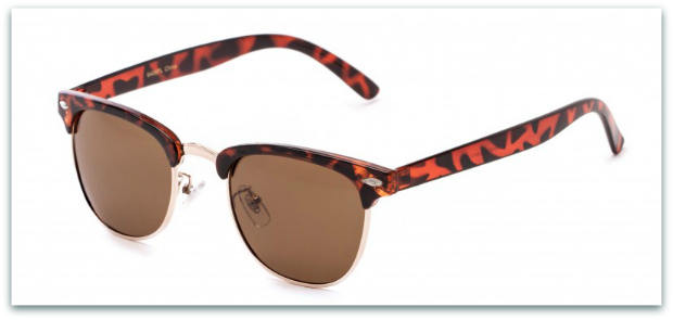 Clubmaster style browline sunglasses