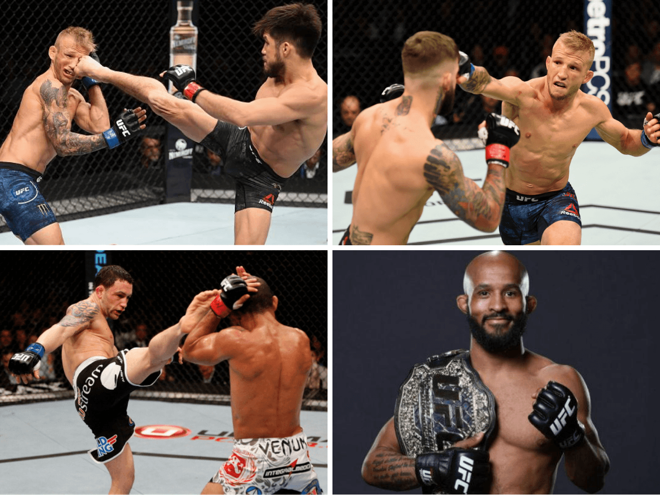 4 Short MMA Fighters Who Dominated the Octagon
