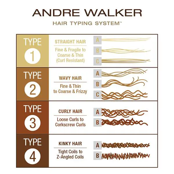 Hair type chart