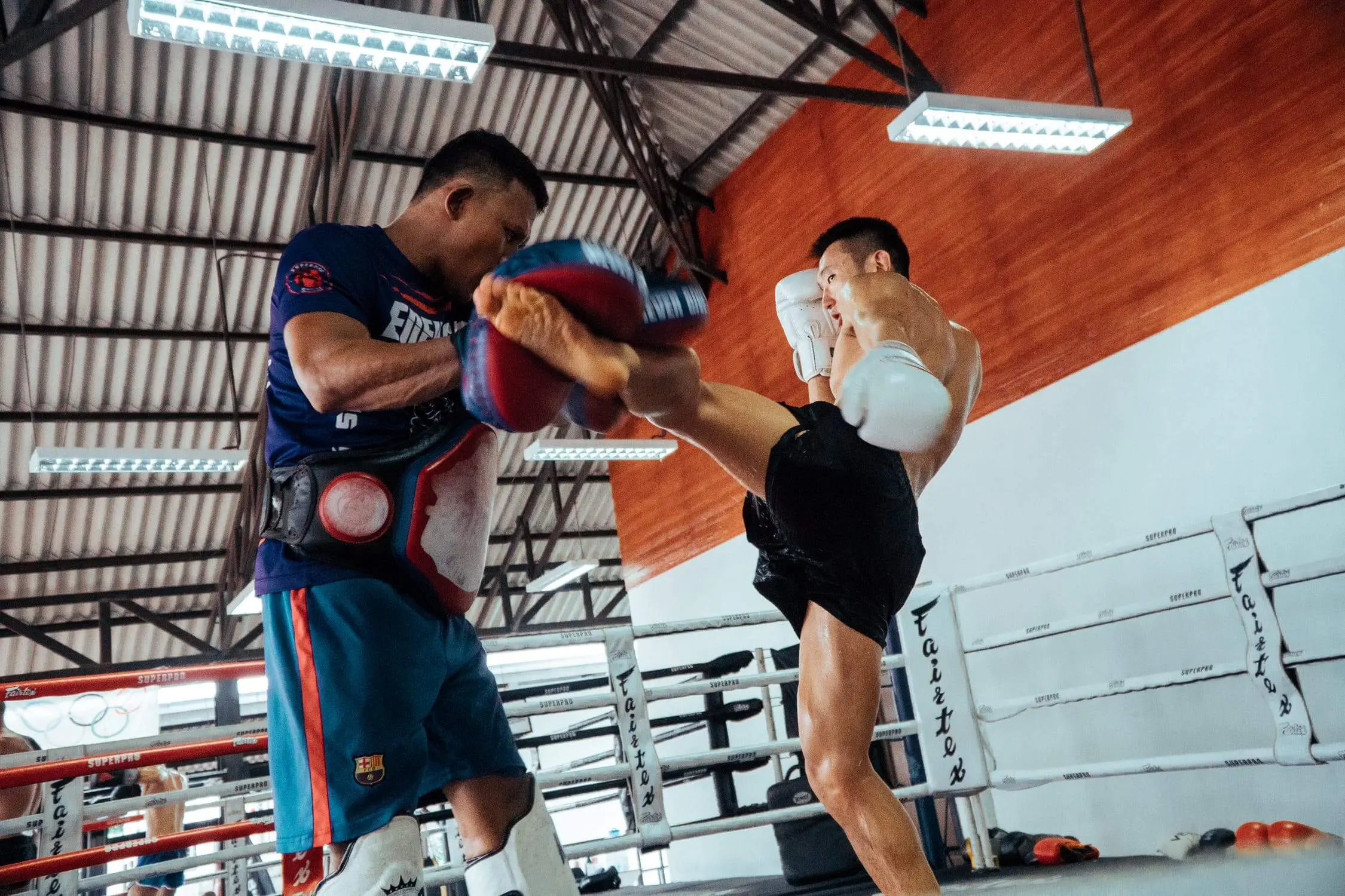 MMA Karate Muay Thai Taekwondo Kickboxing Training GLOVES Small Medium Large 
