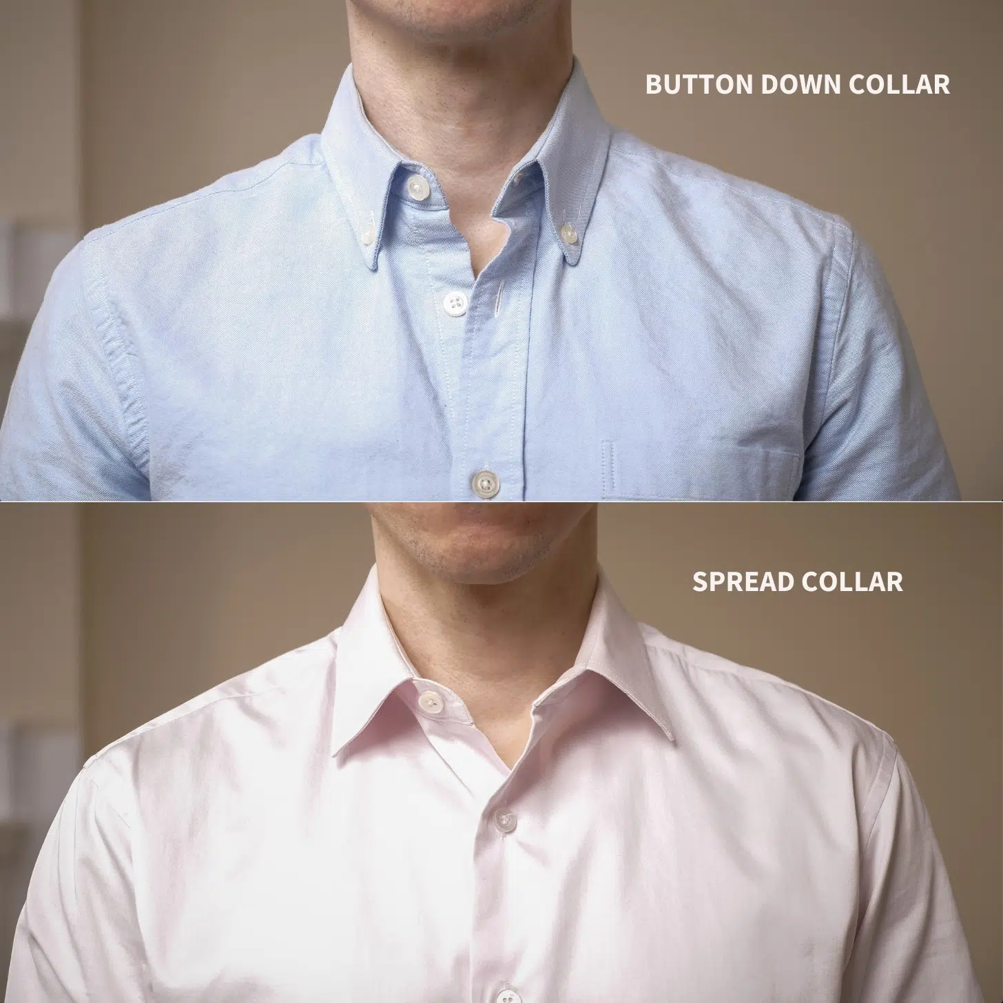 Button down vs spread collar