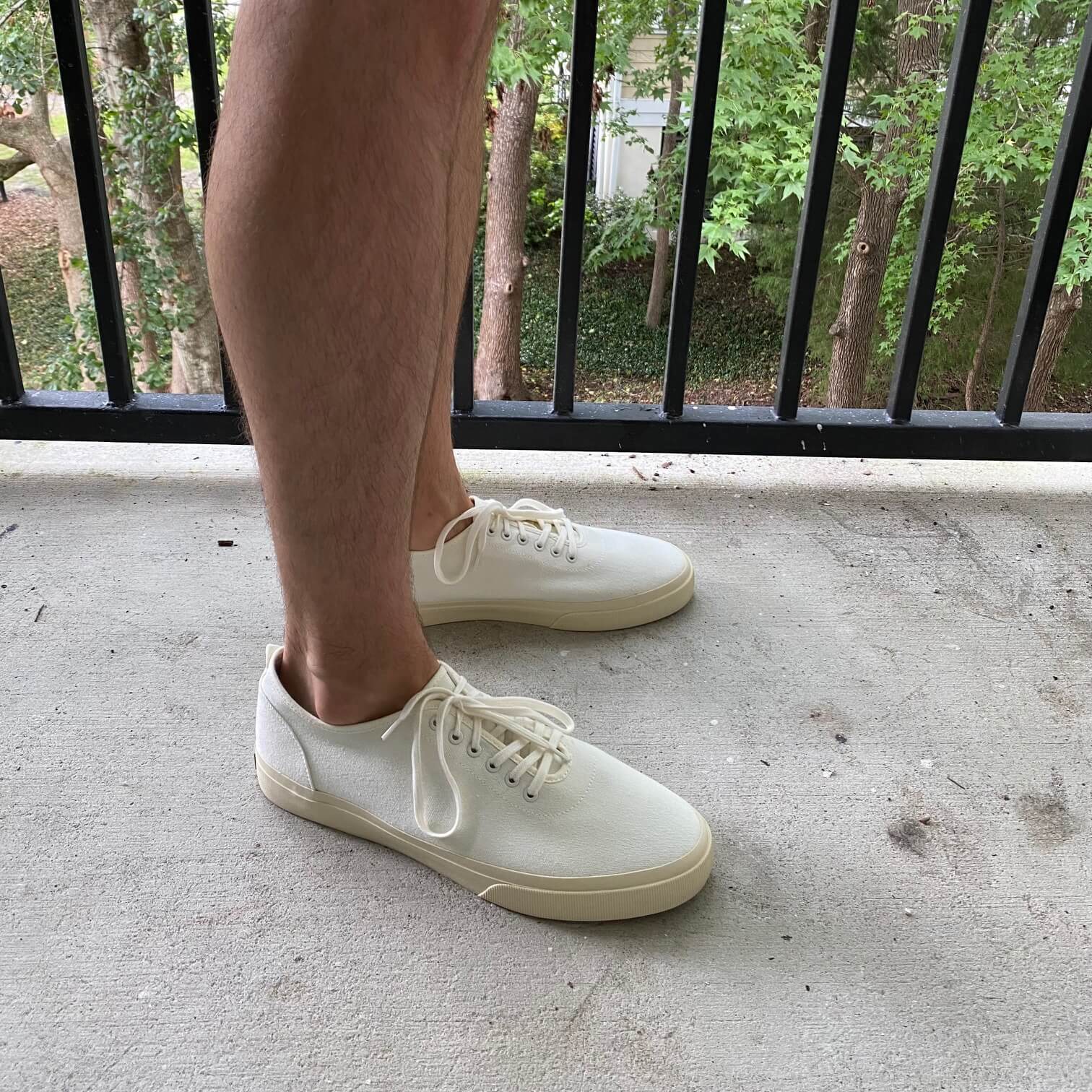 Beyond Virus Diplomatic issues Everlane Forever Sneaker Review: Are They Worth the Hype?