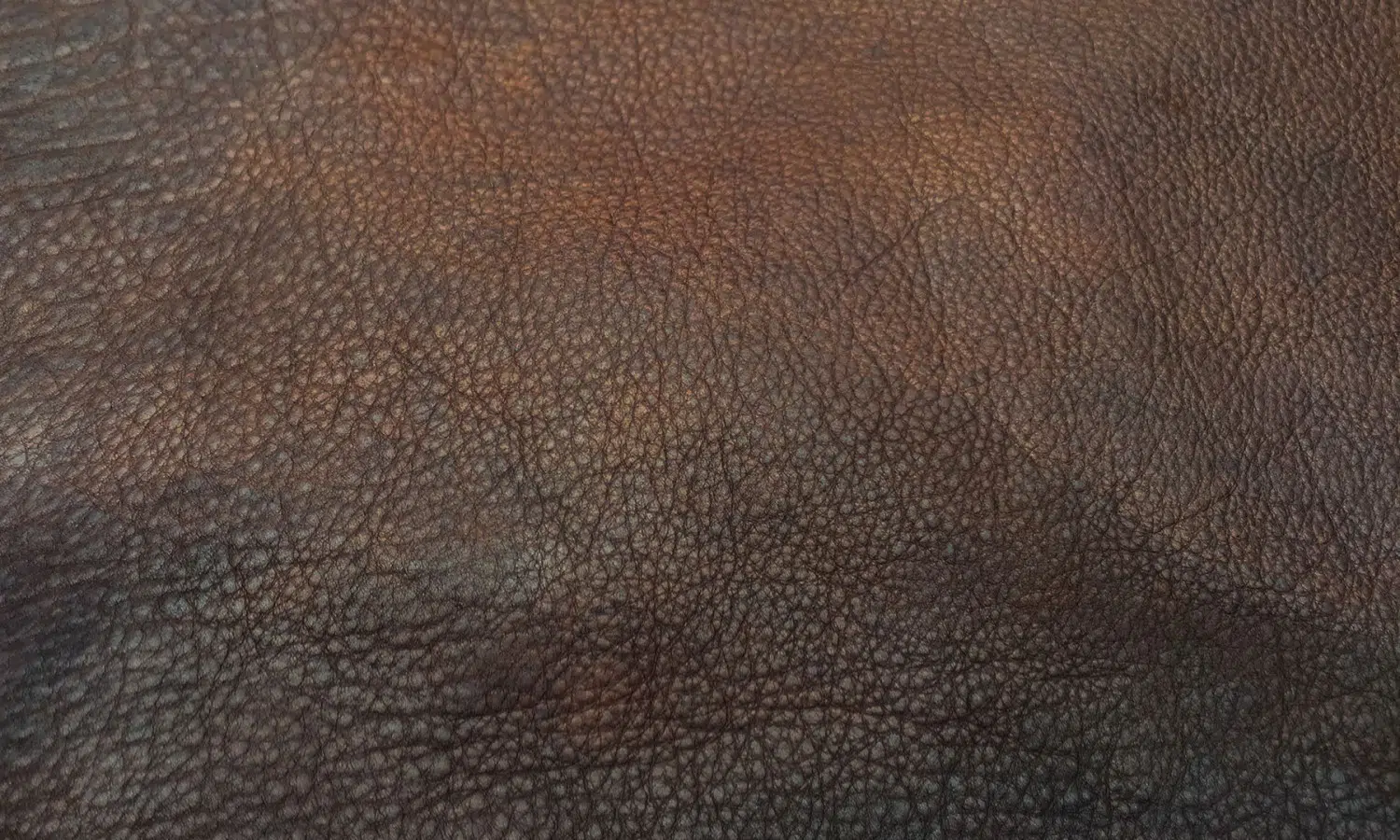 Bison Leather