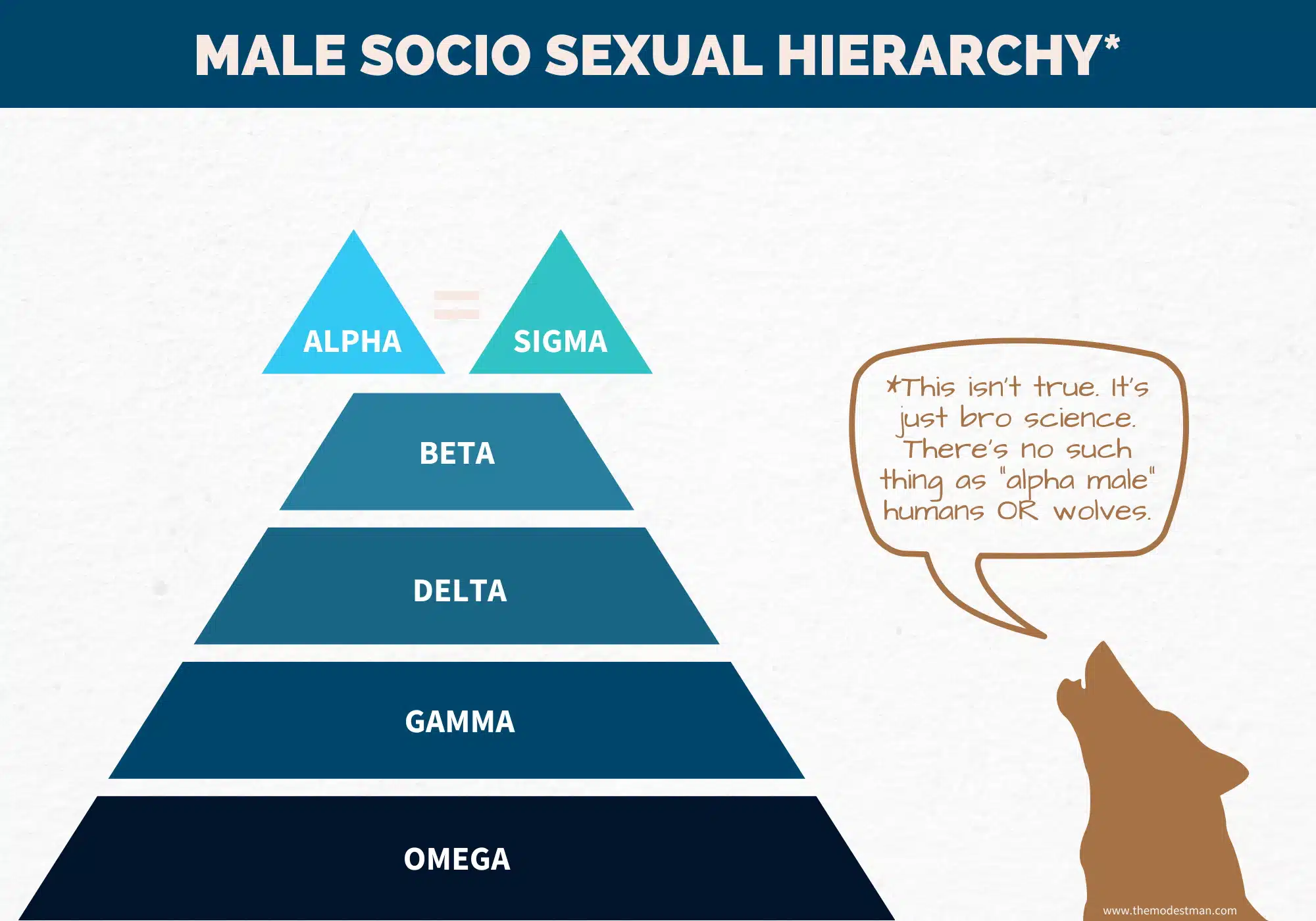 Male Socio Sexual Hierarchy