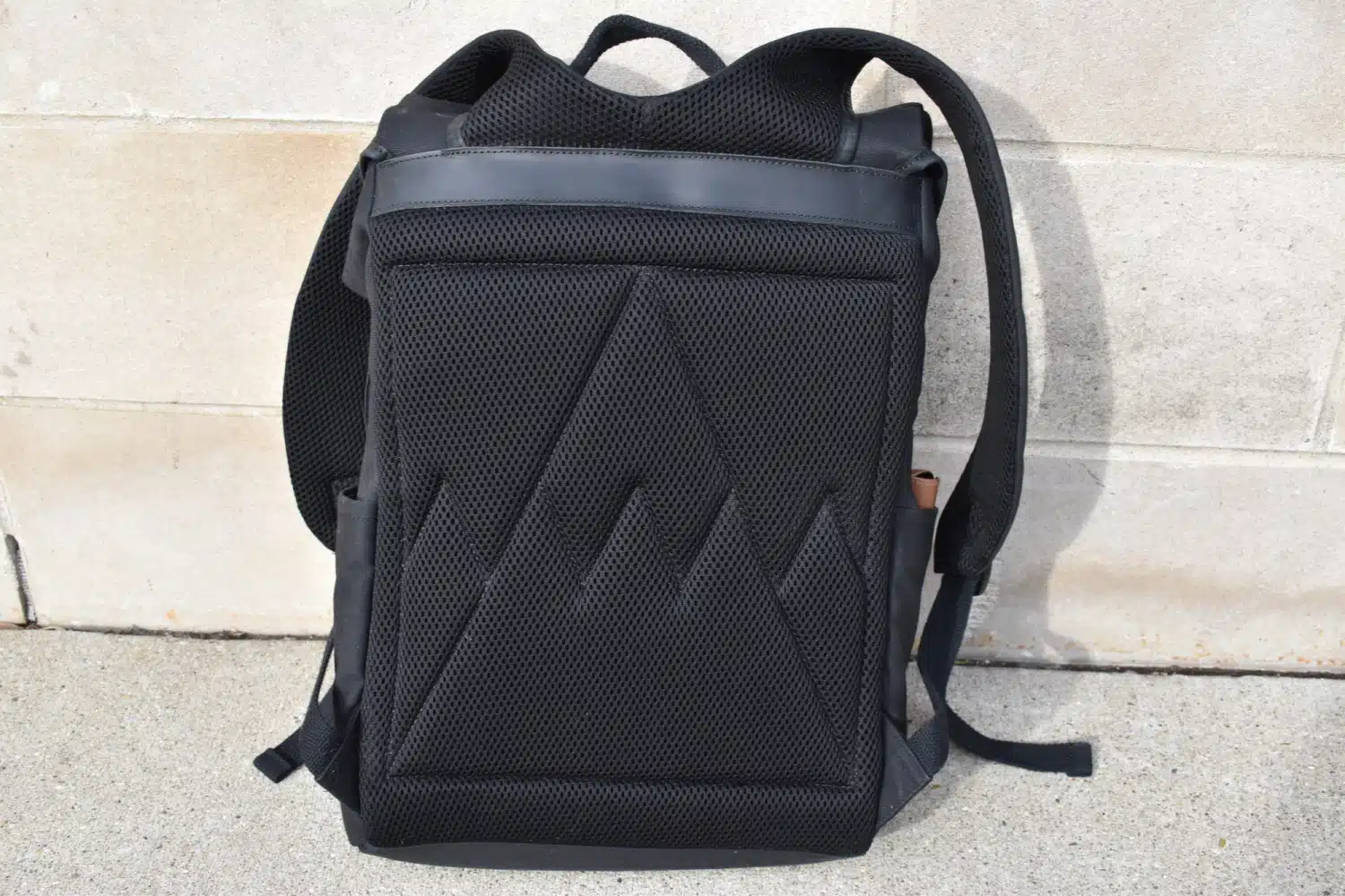 Stubble and Co Backpack Back