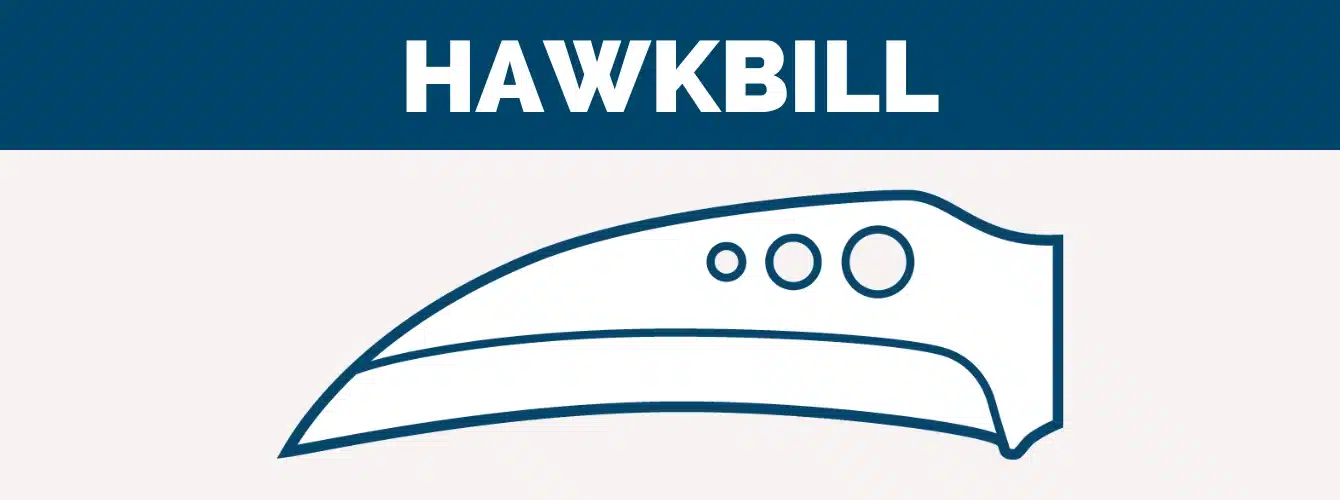 hawkbill