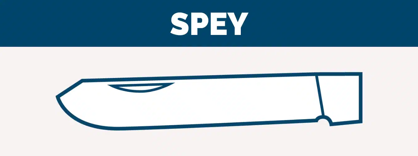 spey