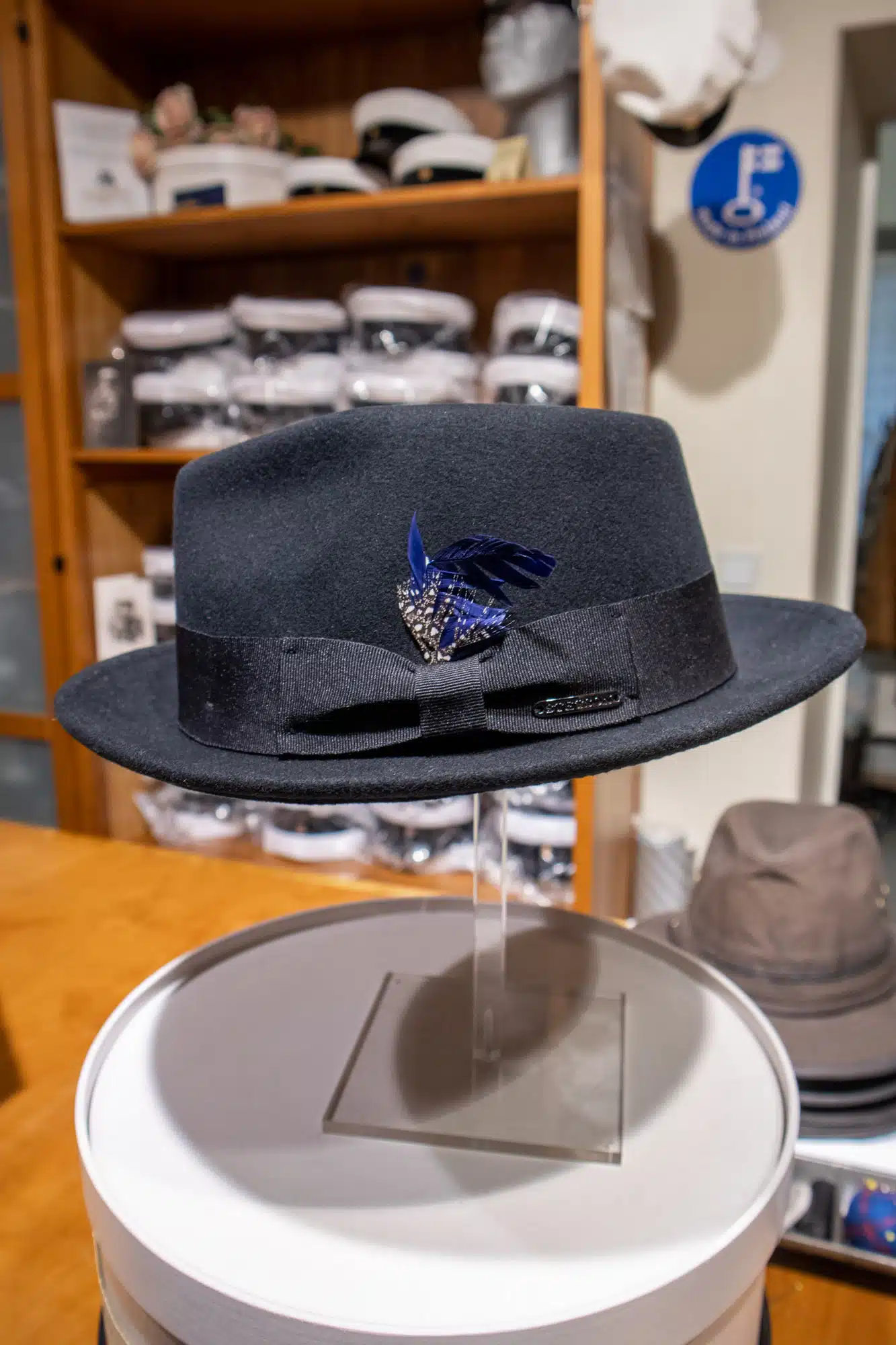 Trilby hat with feather