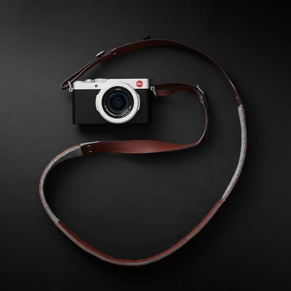 Padded Leather Camera Strap - Lucky Camera Straps