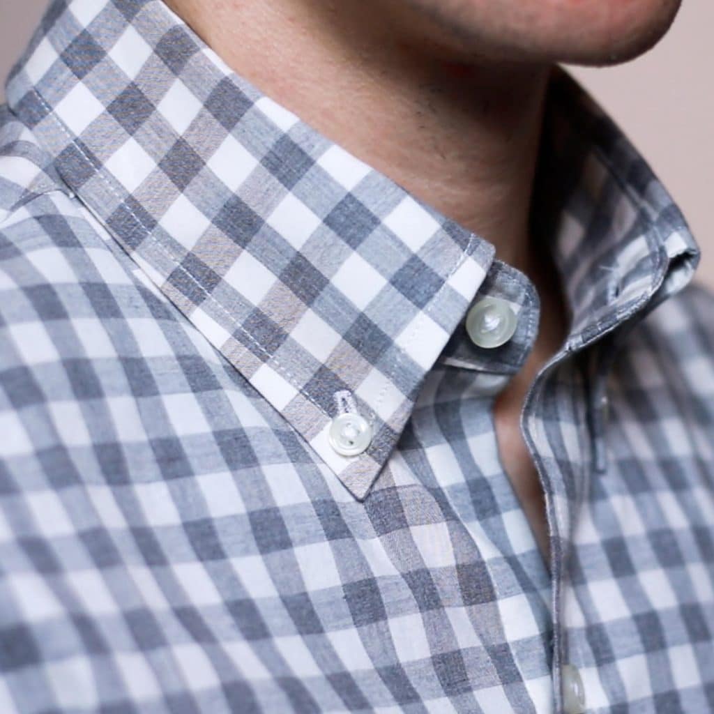 Collar Types: Everything You Need To Know