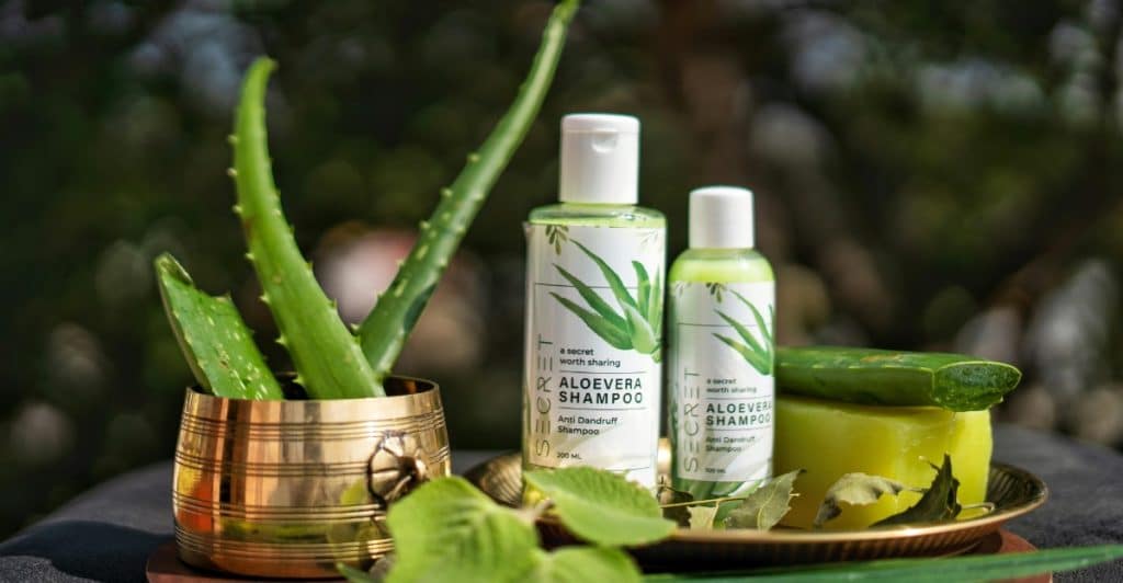 Bottles of aloe vera shampoo and conditioner, along with aloe vera plants, are arranged on a surface outdoors.