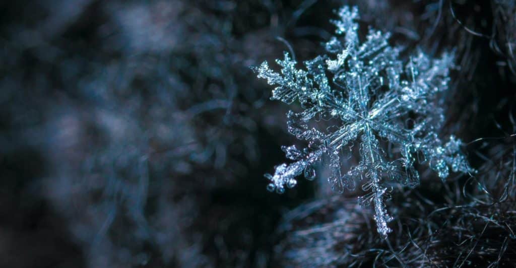 A close-up photo of a snowflake on a dark, textured surface.