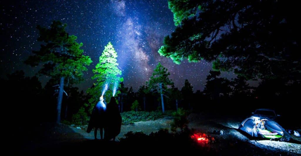 A couple standing under a starry night sky with flashlights.