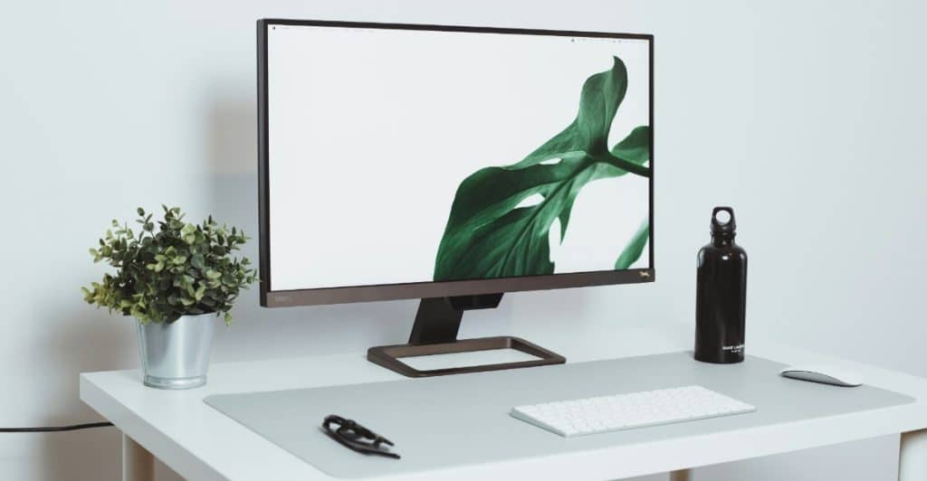 A white desk with a monitor, plant, keyboard, mouse, and water bottle.