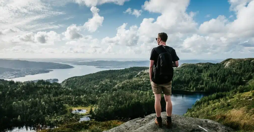 A person with a backpack is standing on a rocky outcrop, gazing at a landscape of hills, water, and sky.