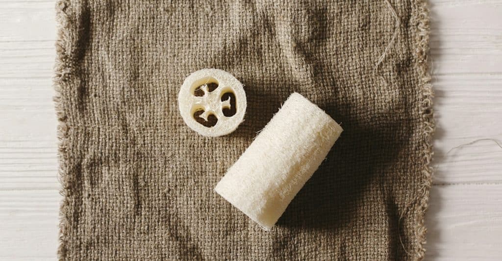 A loofah and a sponge on a textured brown cloth.