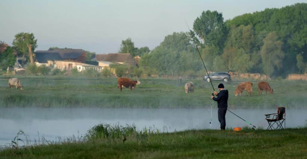 A man is fishing by a misty lake with cows grazing in a field and houses in the background.