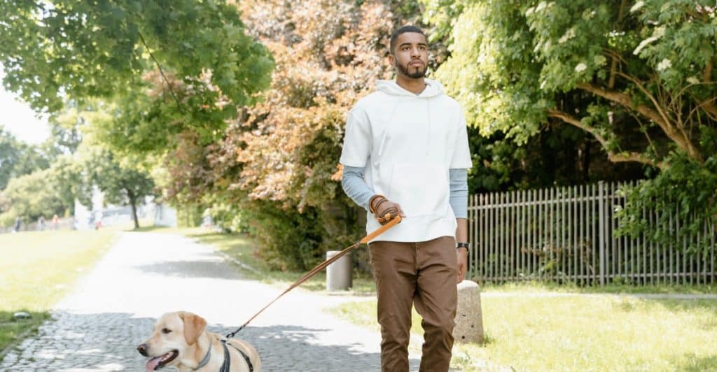 A man walking a yellow Labrador Retriever dog on a leash on a paved path in a park.