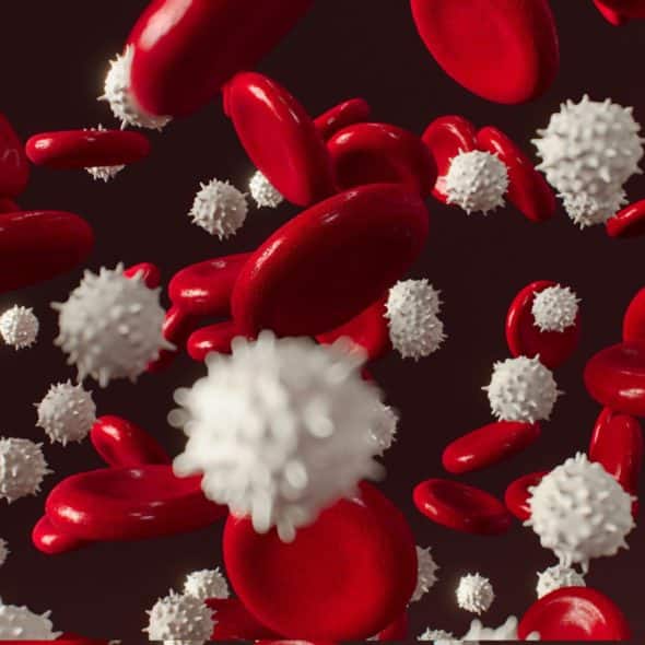 A 3D rendering shows red and white blood cells on a dark background.