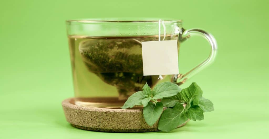 Clear glass mug with a tea bag and fresh nettle leaves on a green background.