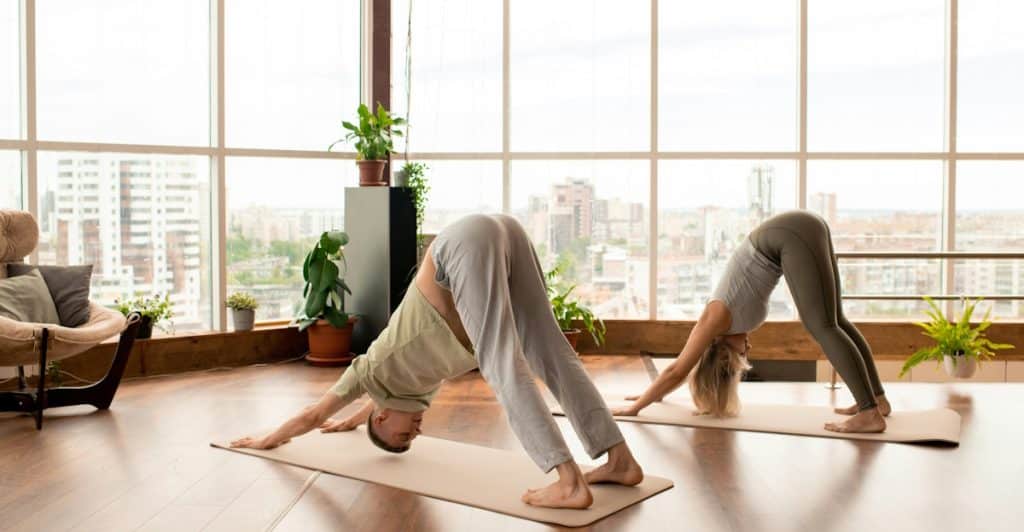 Two people perform the downward-facing dog pose on yoga mats in a studio with large windows.