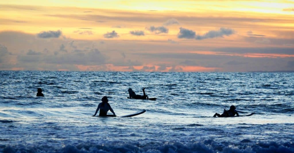Surfers in the ocean at sunset