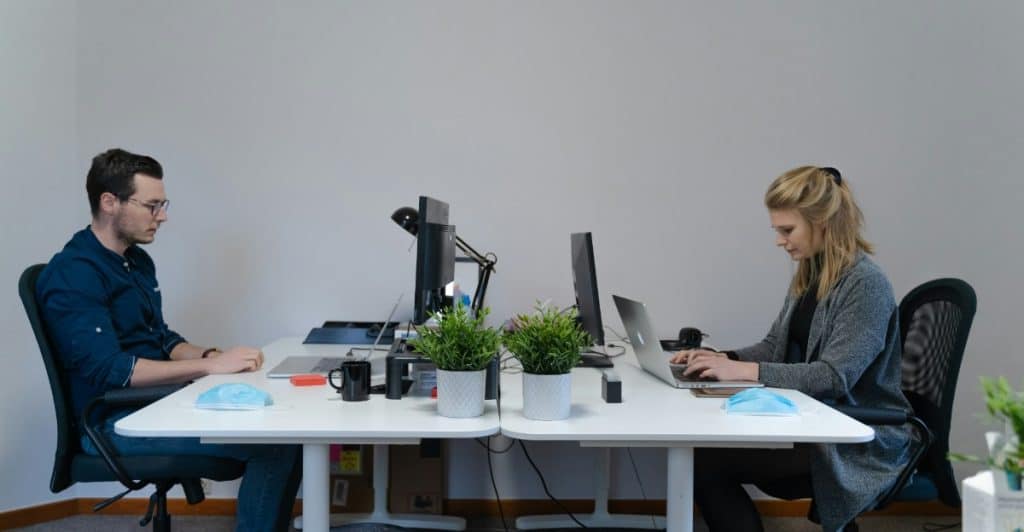 Two people working at computers on a shared white desk with plants.