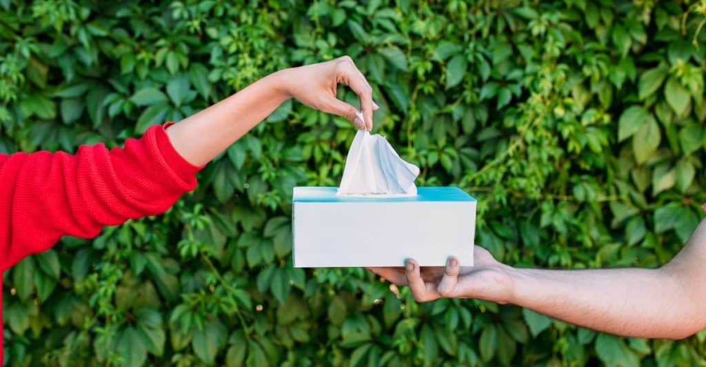 One person's hand pulling a fresh tissue from a box being held by another person in front of a green ivy wall.