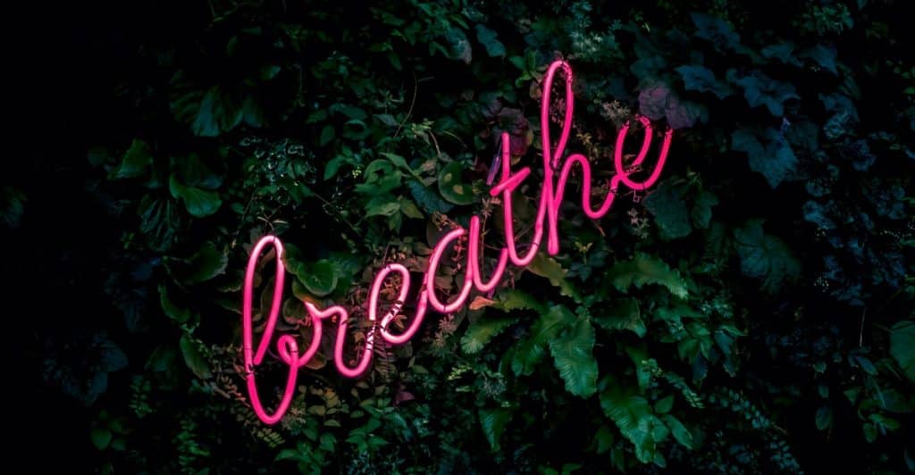 A neon sign that spells out "breathe" in glowing pink letters, set against a dark background of green leaves.