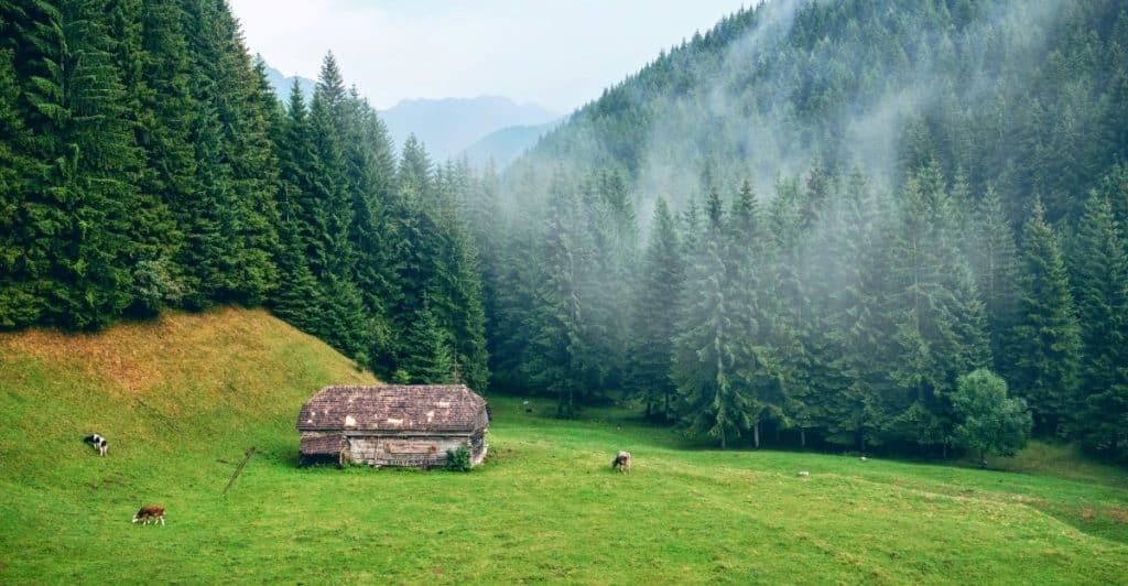 A small cabin with a stone roof nestled in a green valley surrounded by lush, towering trees.