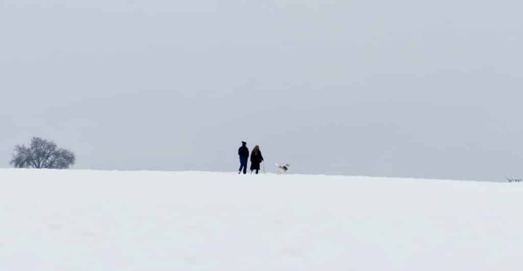A couple and a dog standing in a vast, snow-covered landscape under a pale sky.