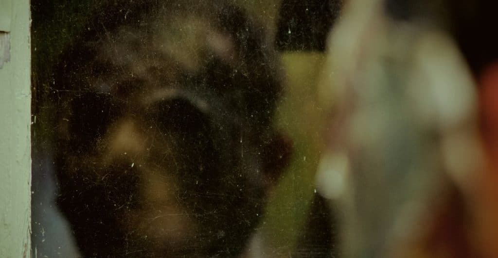 A blurry face reflected in a dirty, scratched window pane.