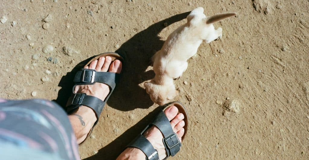 A person's feet wearing dark-colored sandals standing on a dry, dirt ground next to a small, light-colored dog.