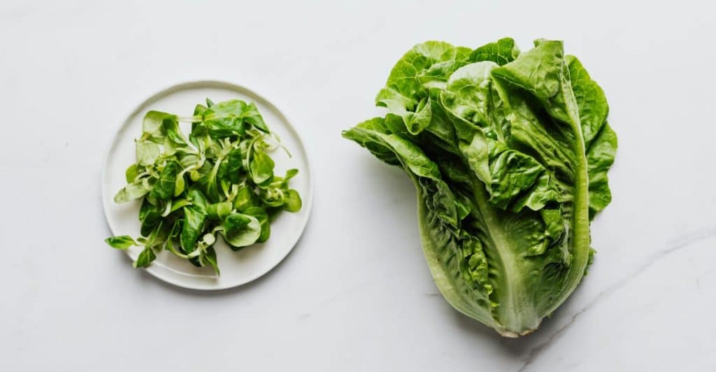 Fresh lettuce and a plate of leafy greens on a white surface.
