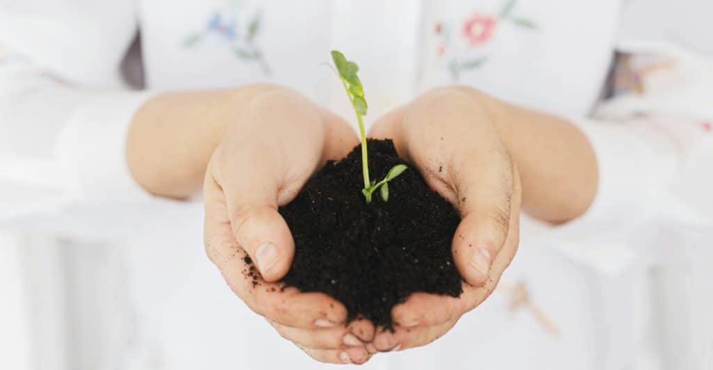 Two hands holding a small plant seedling growing from dark soil.