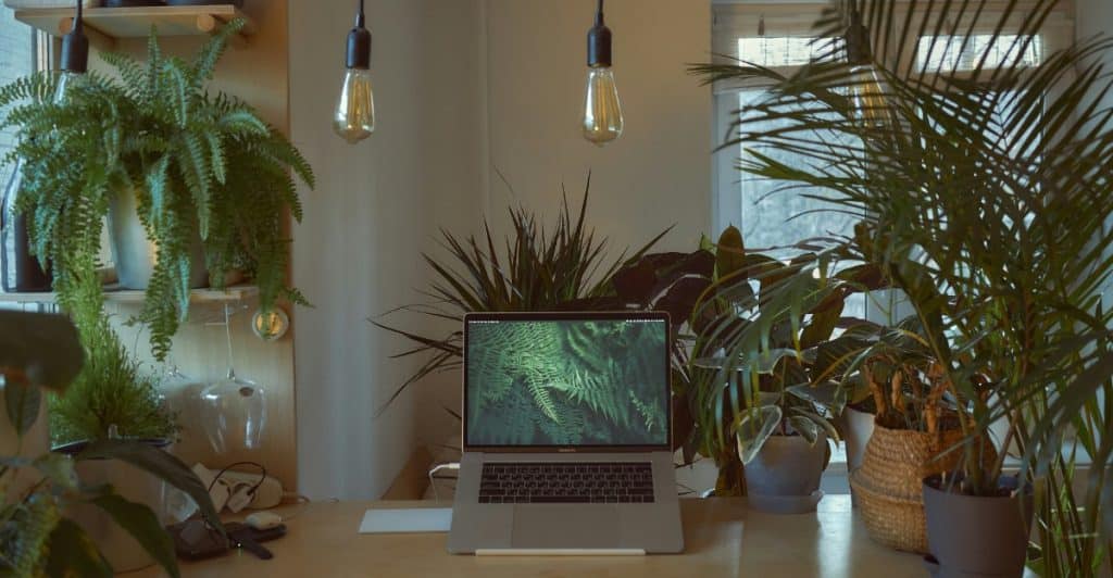 A laptop placed on a wooden surface surrounded by various green plants and hanging lightbulbs