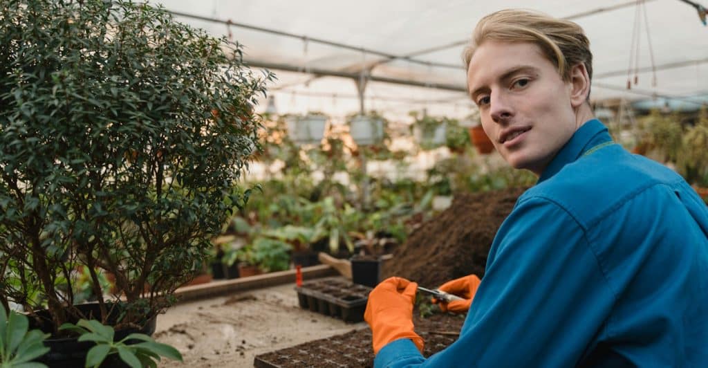 A blond man wearing a blue shirt and orange gloves planting seedlings in a tray inside a greenhouse filled with various plants.