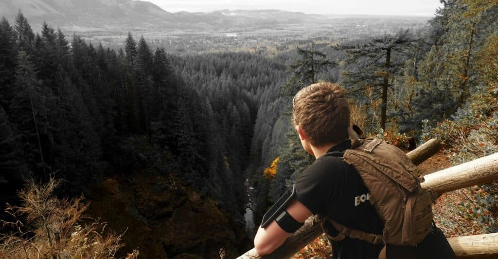A man with a backpack looking out over a vast forest and valley from a wooden railing.