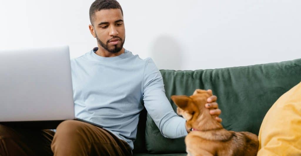 A man sitting on a green couch, working on a laptop, with his hand resting on a small dog.