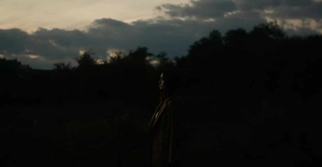 A person standing in profile in a dark forest at dusk with a cloudy sky.