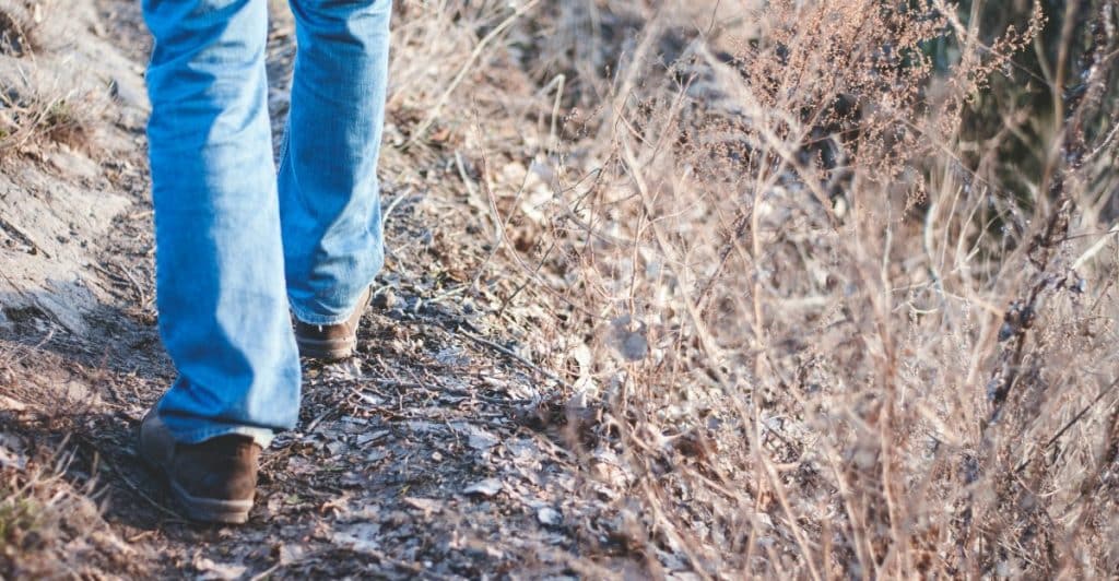 The lower half of a person's body, wearing blue jeans and brown shoes, walking on a path through dry brush and leaves.