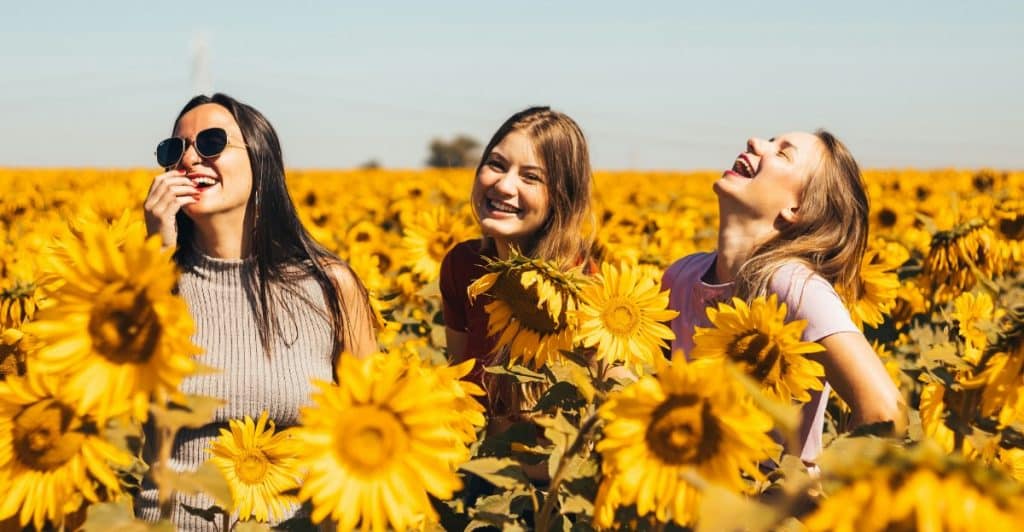Three women laughing and smiling in a field of tall sunflowers