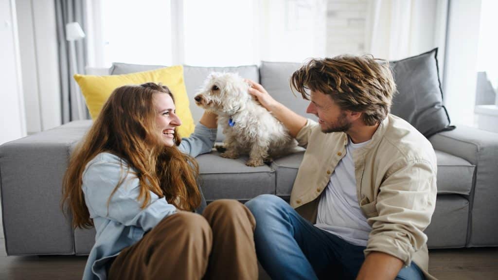 A couple pets their dog that sits on the couch.