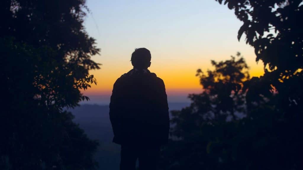 A person's silhouette stands against a vibrant sunset, framed by trees.