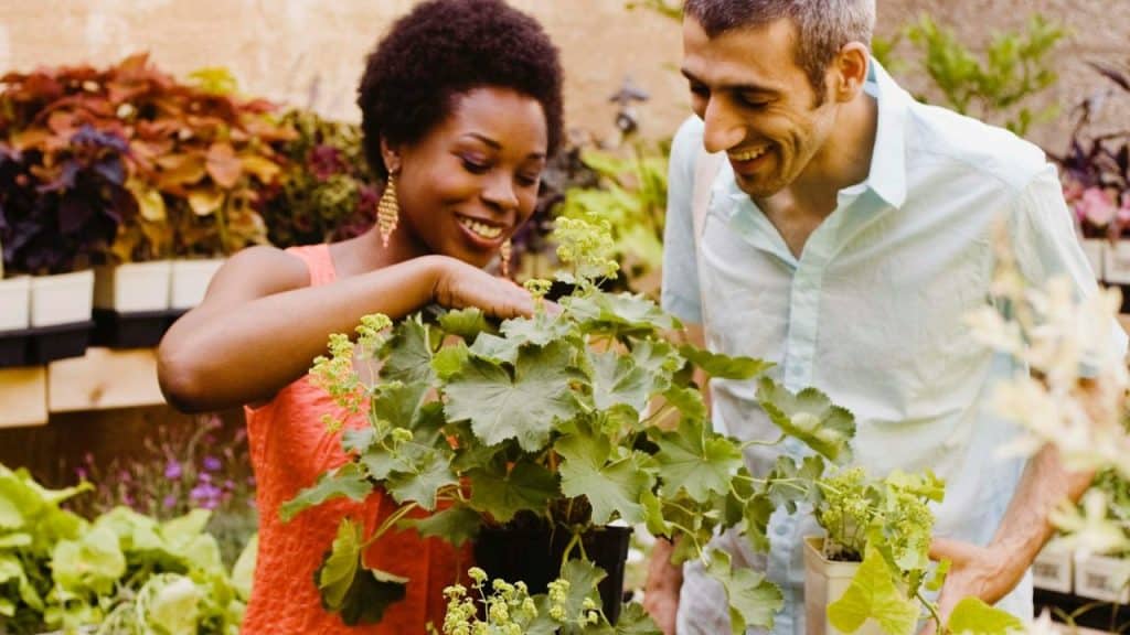 A man and a woman smile as they tend to plants in a garden setting.