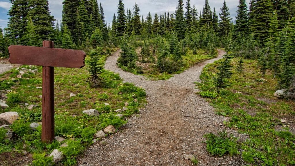 A fork in the road.