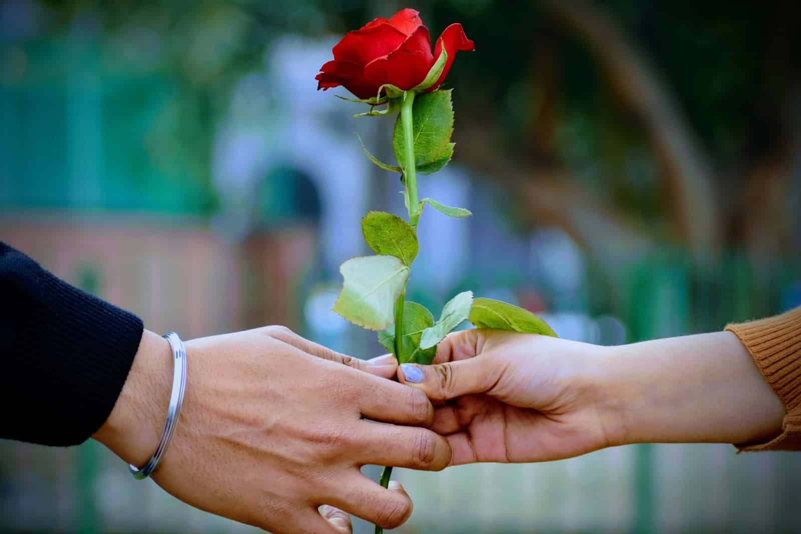A man and woman holding hands with a rose.