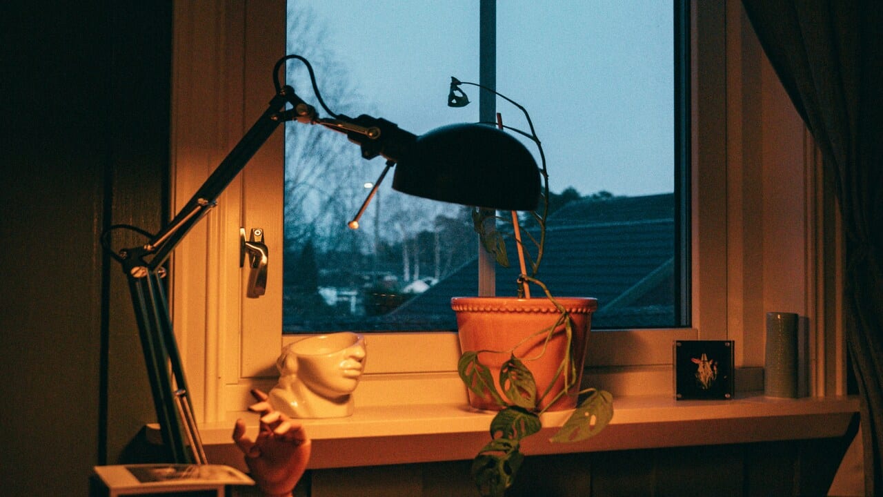 A lamp turned on at dusk.