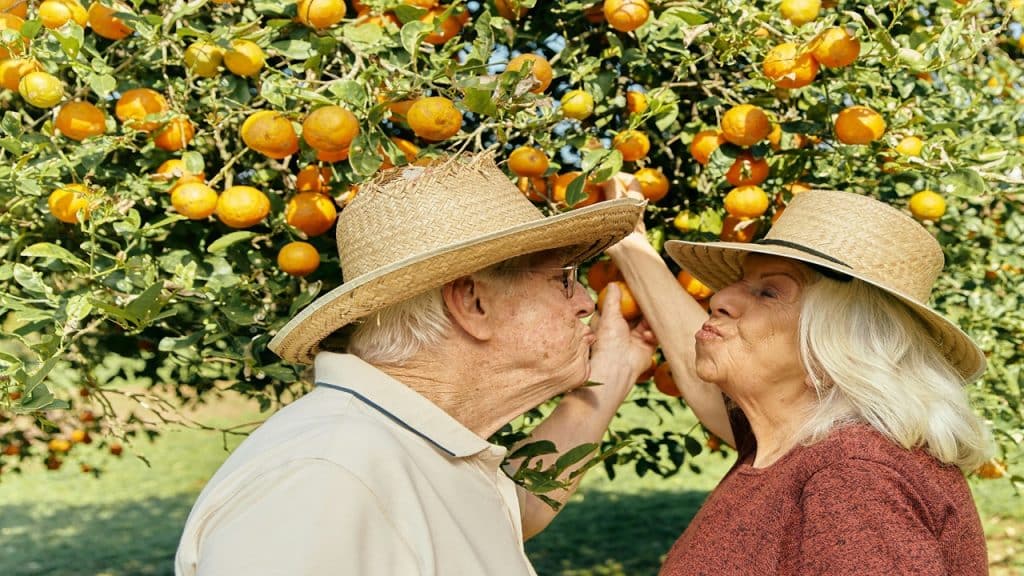 An old couple standing underneath an orange tree.